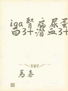 iga肾病尿蛋白3+潜血3+严重吗