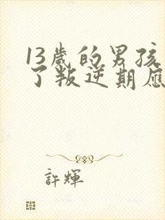 13岁的男孩到了叛逆期应该怎么教