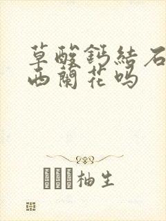 草酸钙结石能吃西兰花吗