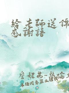 给老师送锦旗的感谢语