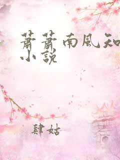 萧萧南风知我意小说
