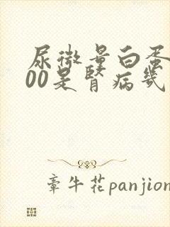 尿微量白蛋白400是肾病几期