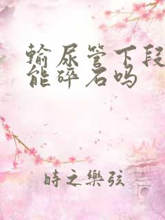 输尿管下段结石能碎石吗