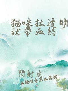 猫咪拉透明果冻状带血丝