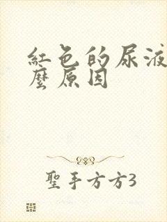 红色的尿液是什么原因