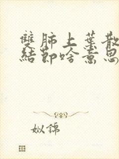 双肺上叶散在小结节啥意思