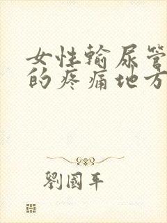 女性输尿管结石的疼痛地方