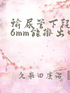 输尿管下段结石6mm能排出吗