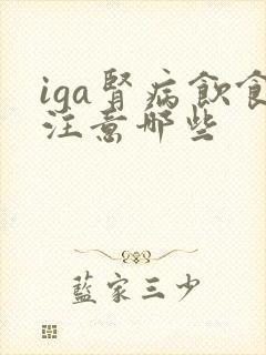 iga肾病饮食注意哪些