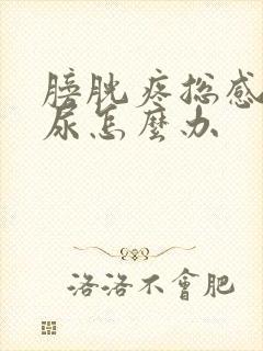 膀胱疼总感觉有尿怎么办