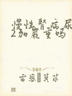 慢性肾病尿蛋白2加严重吗