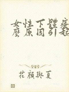 女性下体瘙痒什么原因引起的