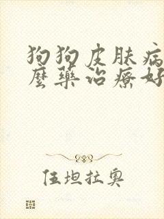 狗狗皮肤病用什么药治疗好