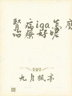 肾病iga怎么治疗好呢