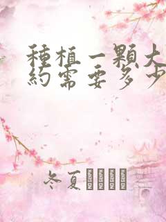 种植一颗大牙大约需要多少钱一颗