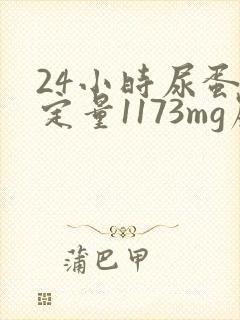 24小时尿蛋白定量1173mg严不严重