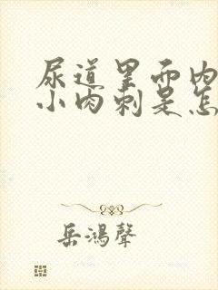 尿道里面内长些小肉刺是怎么回事啊