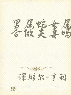 男属蛇女属狗适合做夫妻吗