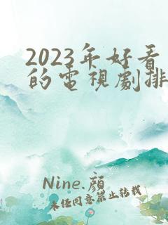 2023年好看的电视剧排行榜前十名
