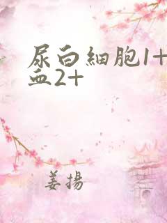 尿白细胞1+隐血2+