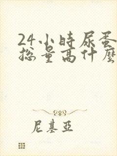 24小时尿蛋白总量高什么原因