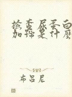 检查尿蛋白一个加号是什么原因