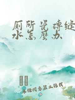 厕所瓷砖缝隙漏水怎么办