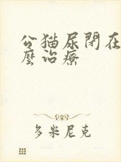 公猫尿闭在家怎么治疗