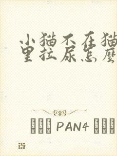 小猫不在猫砂盆里拉尿怎么办