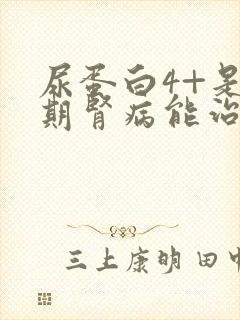 尿蛋白4+是几期肾病能治好