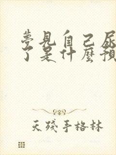 梦见自己尿裤子了是什么预兆女人