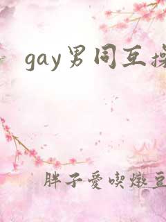 gay男同互操