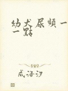 幼犬尿频一会尿一点