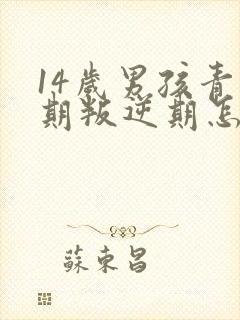 14岁男孩青春期叛逆期怎么办