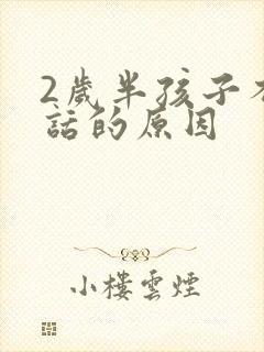 2岁半孩子不说话的原因