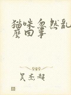 猫咪忽然乱尿怎么回事