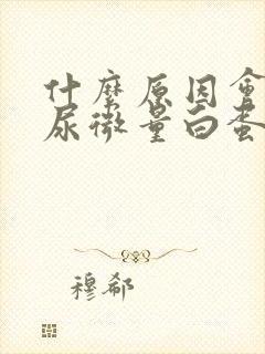 什么原因会导致尿微量白蛋白升高