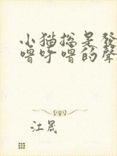 小猫总是发出呼噜呼噜的声音是怎么回事