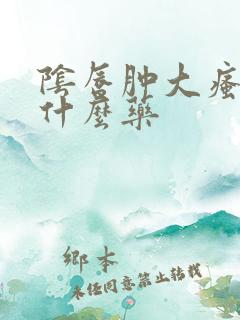 阴唇肿大瘙痒用什么药