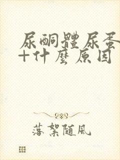 尿酮体尿蛋白1+什么原因