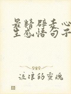 最精辟走心的人生感悟句子