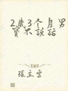 2岁3个月男宝宝不说话