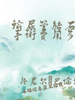 输尿管结石软镜手术费用多少钱