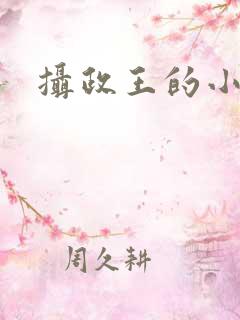 摄政王的小医妃