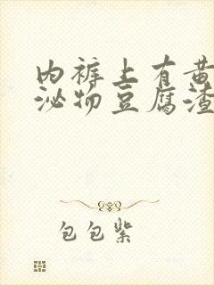 内裤上有黄色分泌物豆腐渣