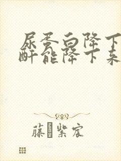 尿蛋白降下来肌酐能降下来吗