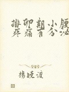 排卵期小腹坠胀疼痛有分泌物