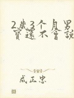 2岁3个月男宝宝还不会说话