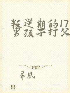 叛逆期的17岁男孩子打父母怎么办