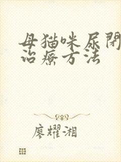 母猫咪尿闭最佳治疗方法